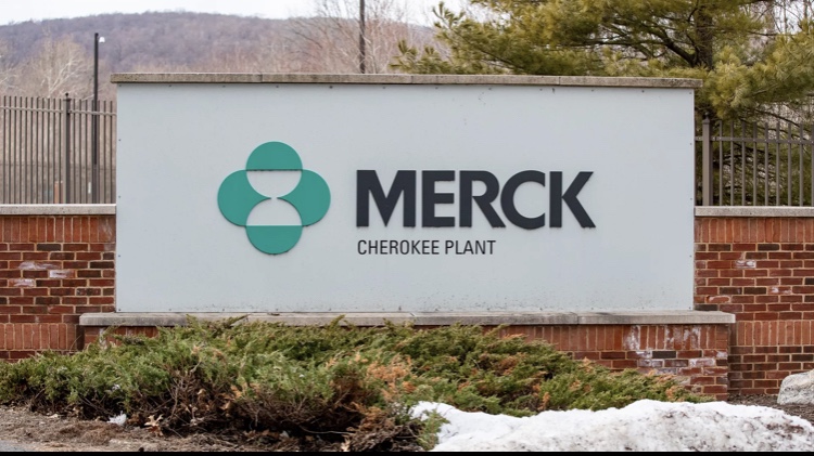 FDA panel backs Merck’s antiviral COVID pill